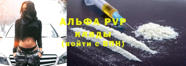 молекула духа Арсеньев