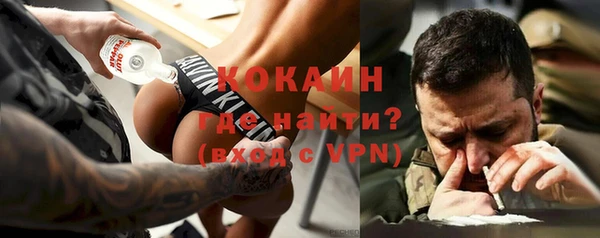 прущие грибы Армянск