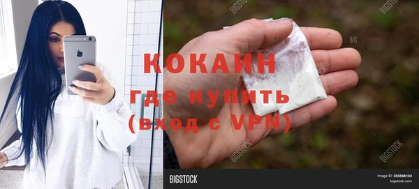 молекула духа Арсеньев