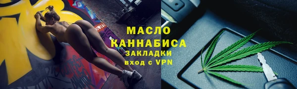 молекула духа Арсеньев