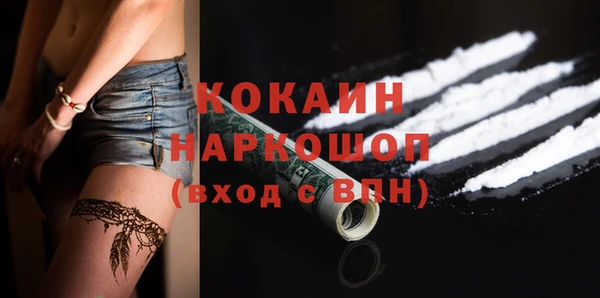 молекула духа Арсеньев