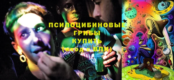 прущие грибы Армянск