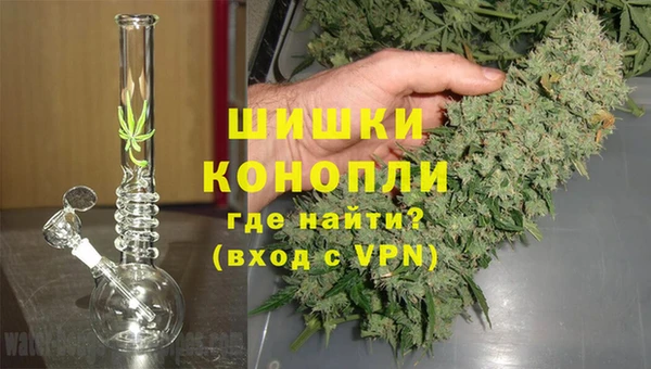 прущие грибы Армянск