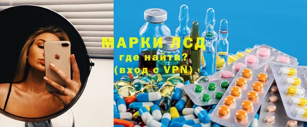 прущие грибы Армянск