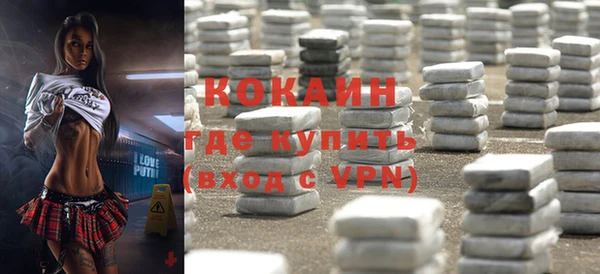 молекула духа Арсеньев